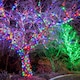 image 6 of 100 Multi-Coloured LED's Black Cable Connectable Outdoor Garden Party Waterproof String Lights (10m) Low Voltage Plug