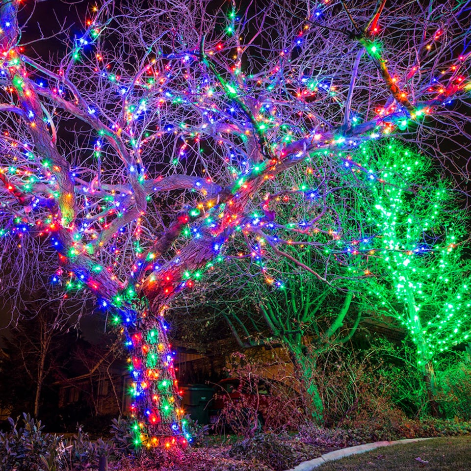 image 1 of 100 Multi-Coloured LED's Black Cable Connectable Outdoor Garden Party Waterproof String Lights (10m) Low Voltage Plug
