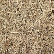 Pillow Wad Barley Straw 1KG