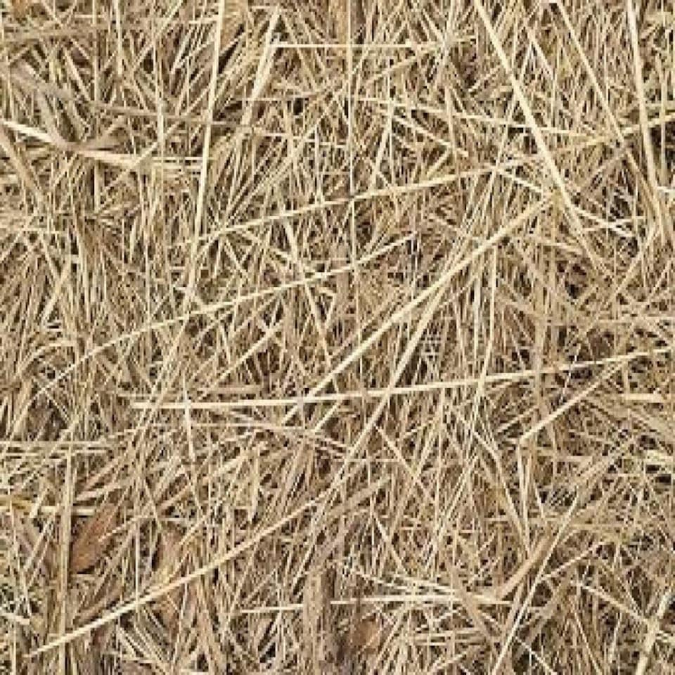 Pillow Wad Barley Straw 1KG