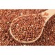 image 5 of Organic Red Quinoa 1kg (Sussex Wholefoods)