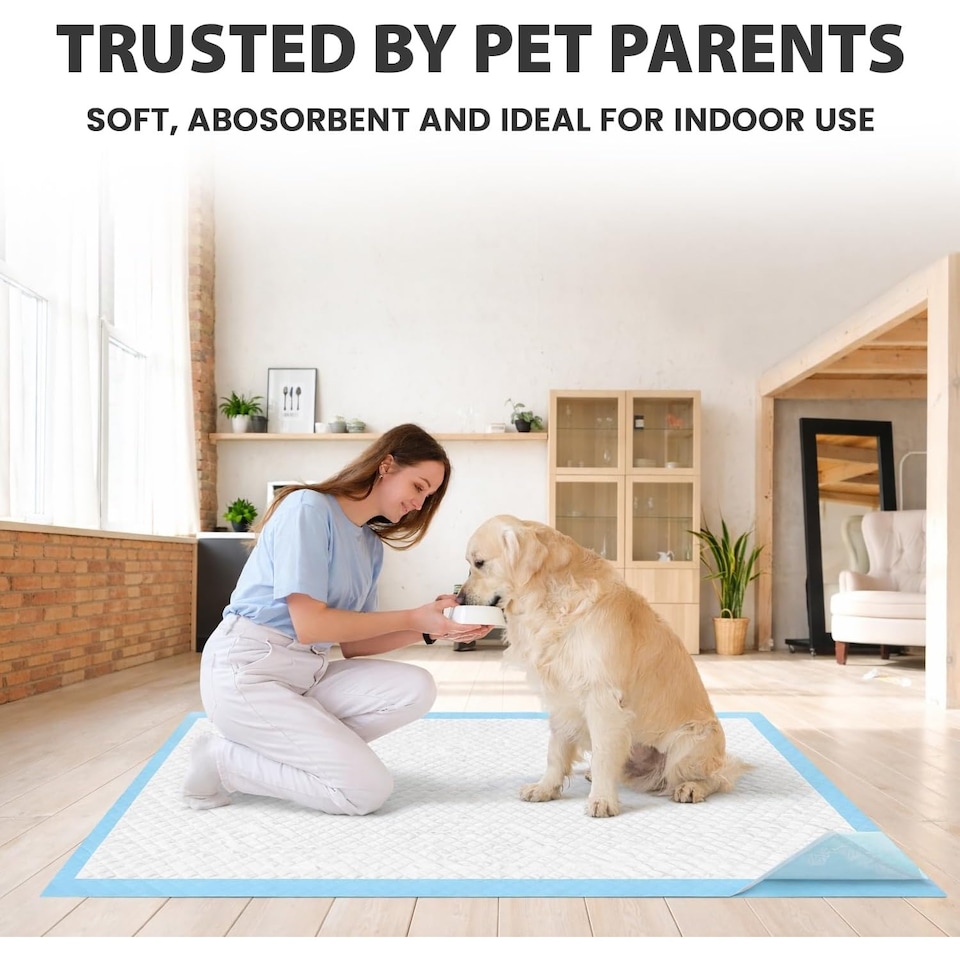 image 1 of MantraRaj Puppy Pads Super Absorbent Puppy Training Pads Dog Toilet Training Pads (Large 60cm x 60cm) Pack of 50