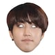 image 1 of Han Stray Kids Cardboard Face Mask