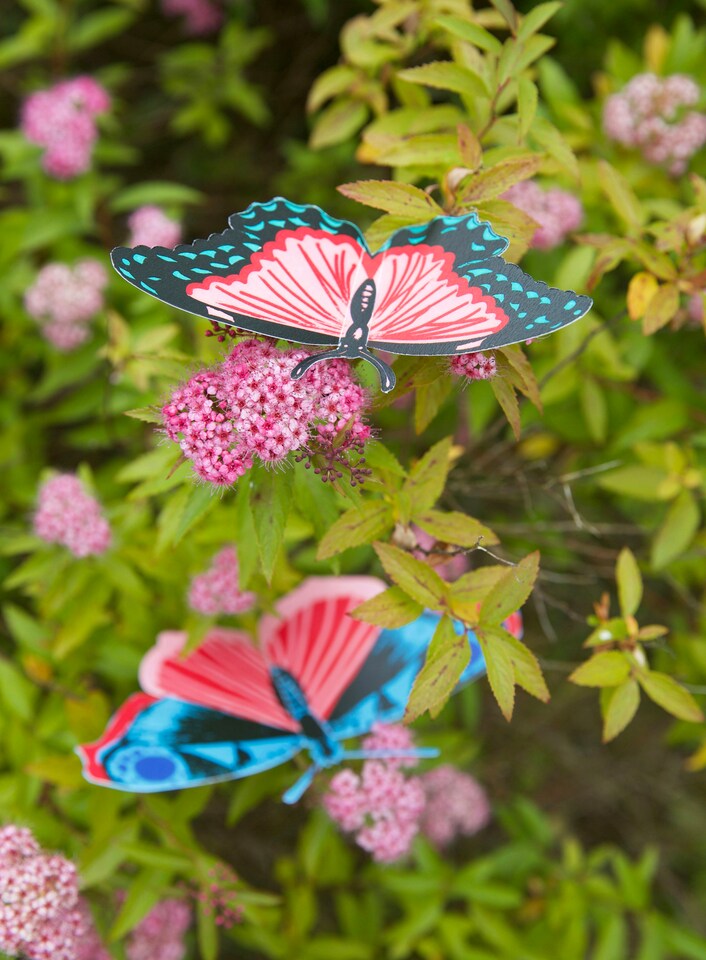 image 1 of RHS Make Your Own 3D Bugs, Childrens Craft Kits