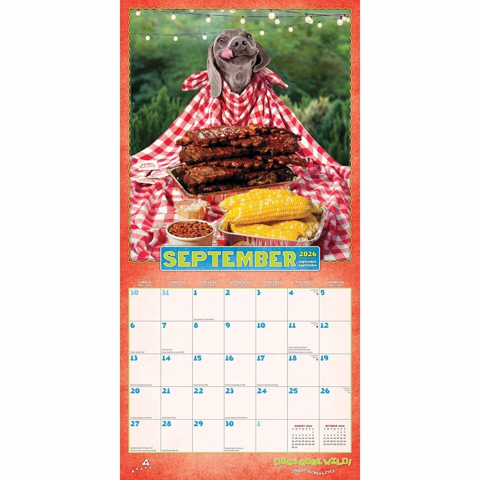 image 1 of Avanti Dogs Gone Wild 2026 Square Flap Calendar