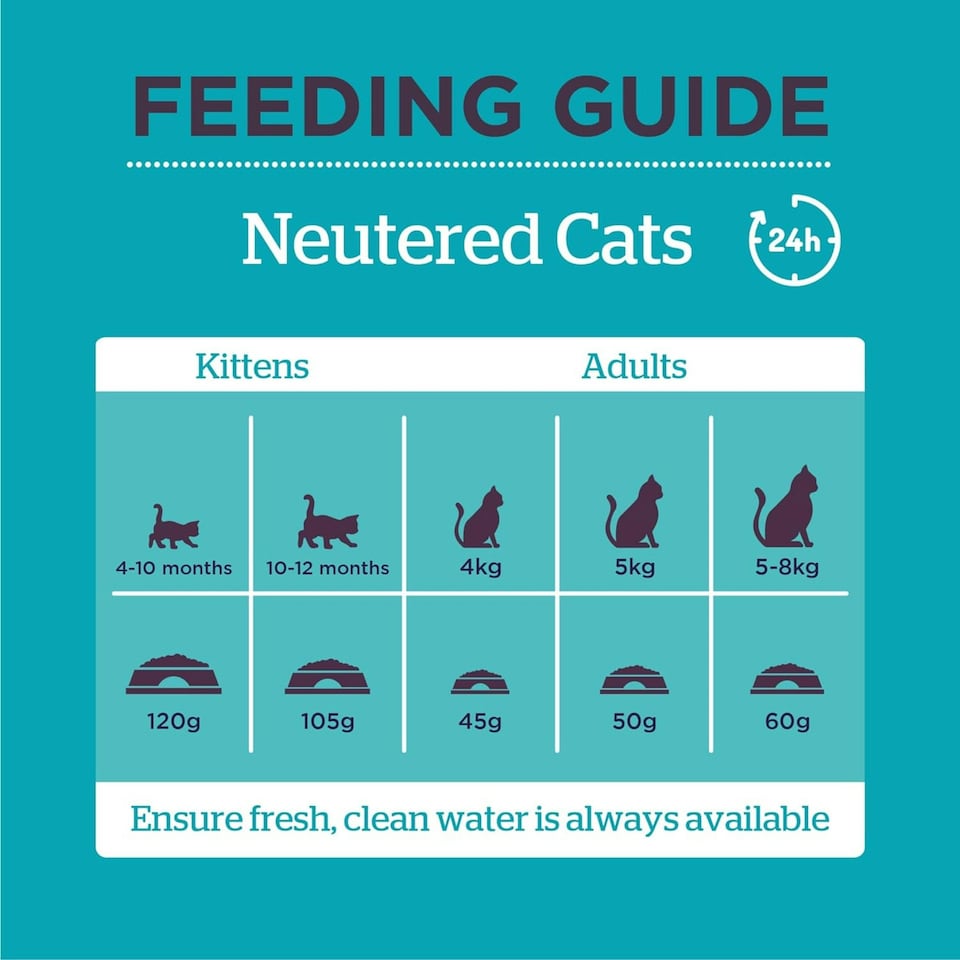 image 1 of Burgess Neutered Cat - 10KG