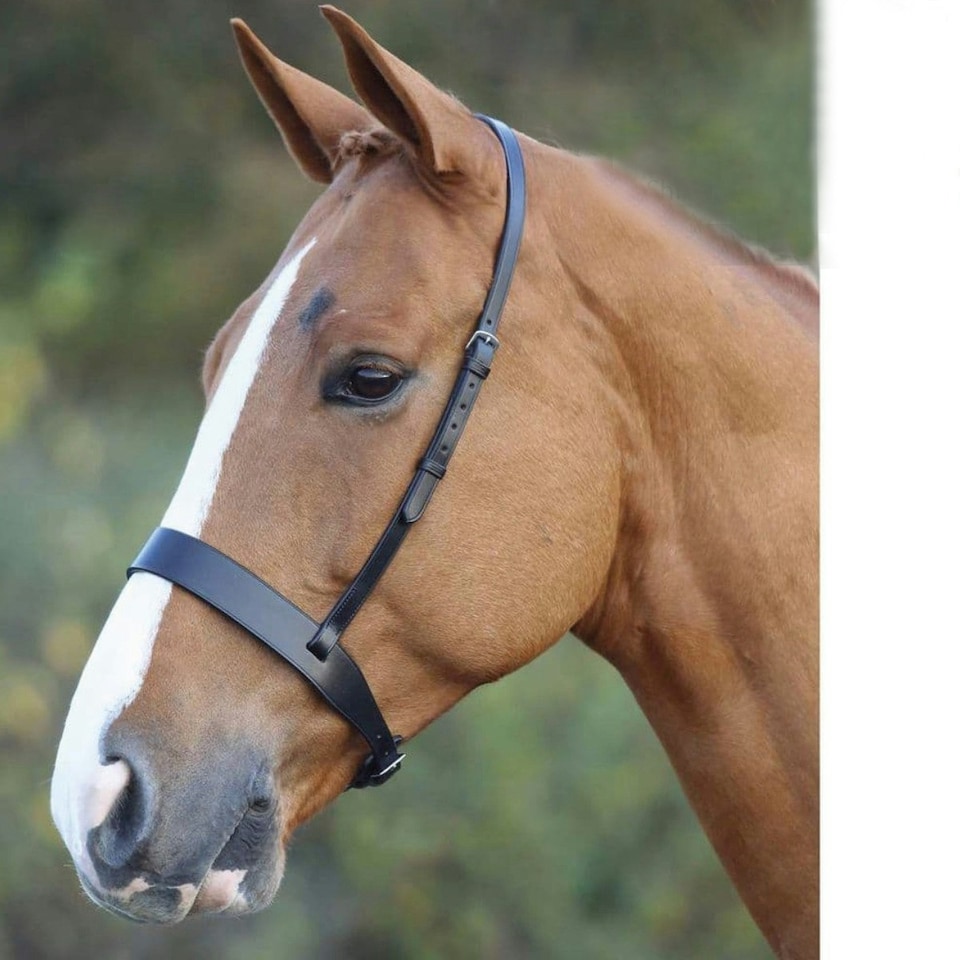 image 1 of Velociti Hunter Leather Horse Cavesson Noseband - Black - Pony