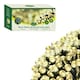 image 1 of GardenKraft 17610 200 Warm White Solar Powered Outdoor LED String Lights