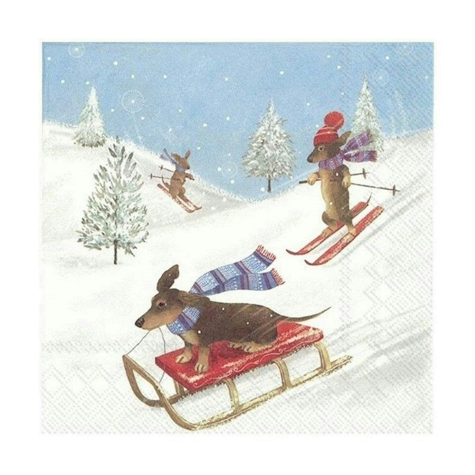 IHR Racing Dogs Cocktail Napkins 25cm 3ply 20 Pack