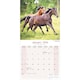 image 3 of Horses 2026 Calendar | Square Wall Calendar | Animal Gift | Plastic Free Packaging | by Avonside Publishing