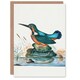 image 1 of James Bolton Art Card Common Kingfisher Vintage Illustration