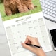 image 5 of Poodle 2026 Calendar | Square Wall Calendar | Dog Breed Gift | Plastic Free Packaging | by Avonside Publishing