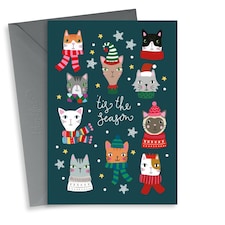 Cute Cats in Scarves Christmas Card