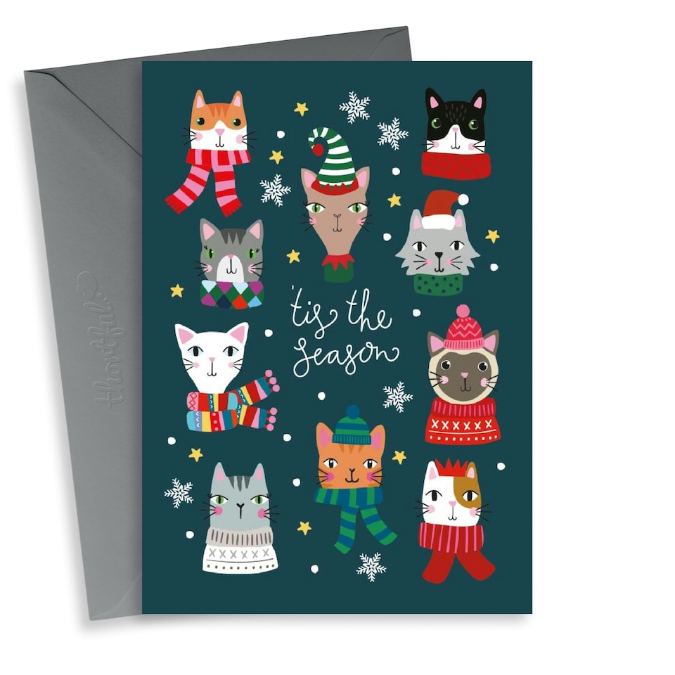image 1 of Cute Cats in Scarves Christmas Card