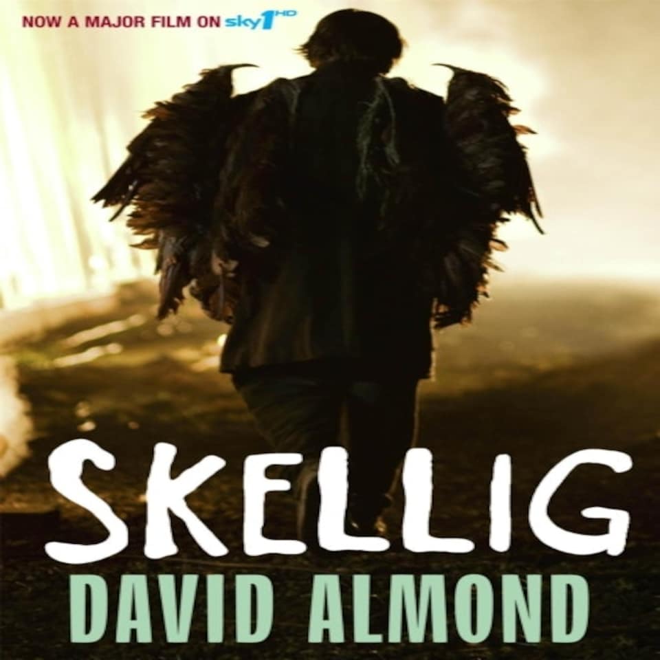 Skellig Tv Tie In Edition