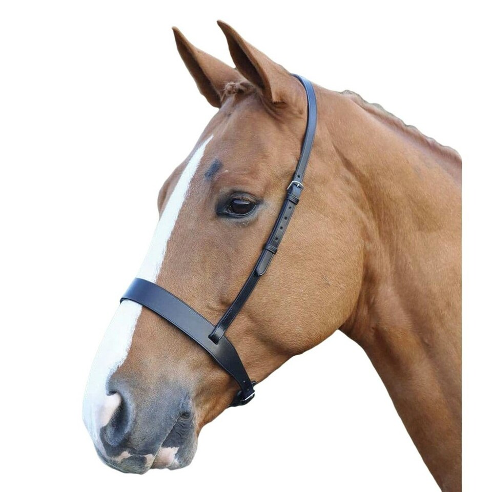 Blenheim Hunter Leather Horse Cavesson - Black - Full