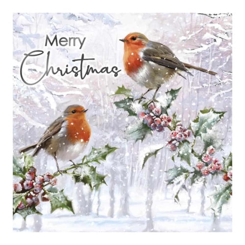 image 1 of Traditional Robin Christmas Greeting Cards - Pack of 12