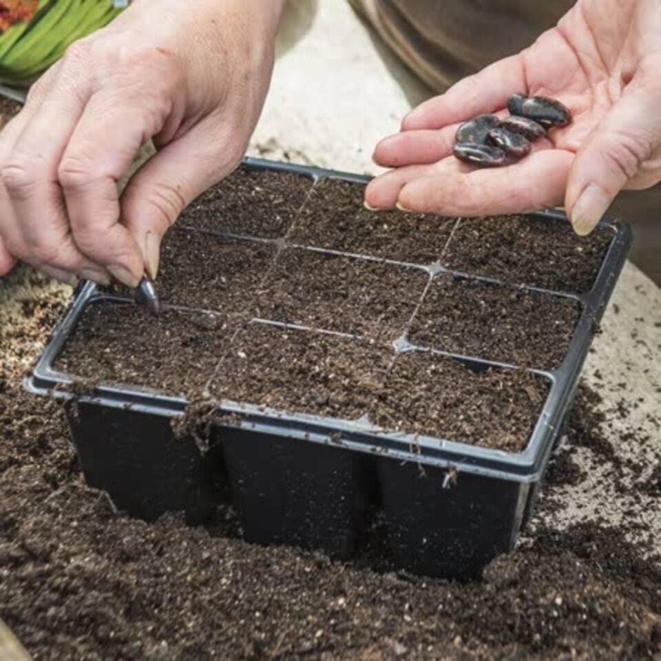 image 1 of Marshalls Garden 12 x 9-Cell Deep Seed Trays - UV-Resistant, Labeled, Fits Propagator