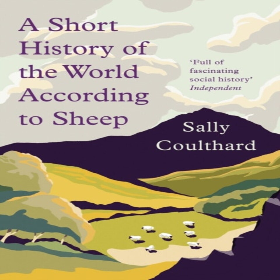 Short History Of The World Accord/sheep