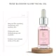 image 4 of Erth Skin London Rose Blossom Glow Facial Oil 30ml