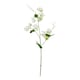 image 1 of The Natural Garden Collection Sweetpea - Artificial Flower (Single Stem) - Plastic - H61 cm - White