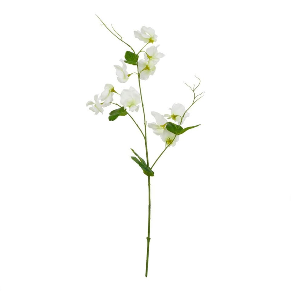 image 1 of The Natural Garden Collection Sweetpea - Artificial Flower (Single Stem) - Plastic - H61 cm - White