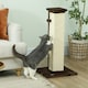 image 2 of PawHut Cat Scratching Post with Vertical Sisal Rope Ball Plush, 81cm, Brown