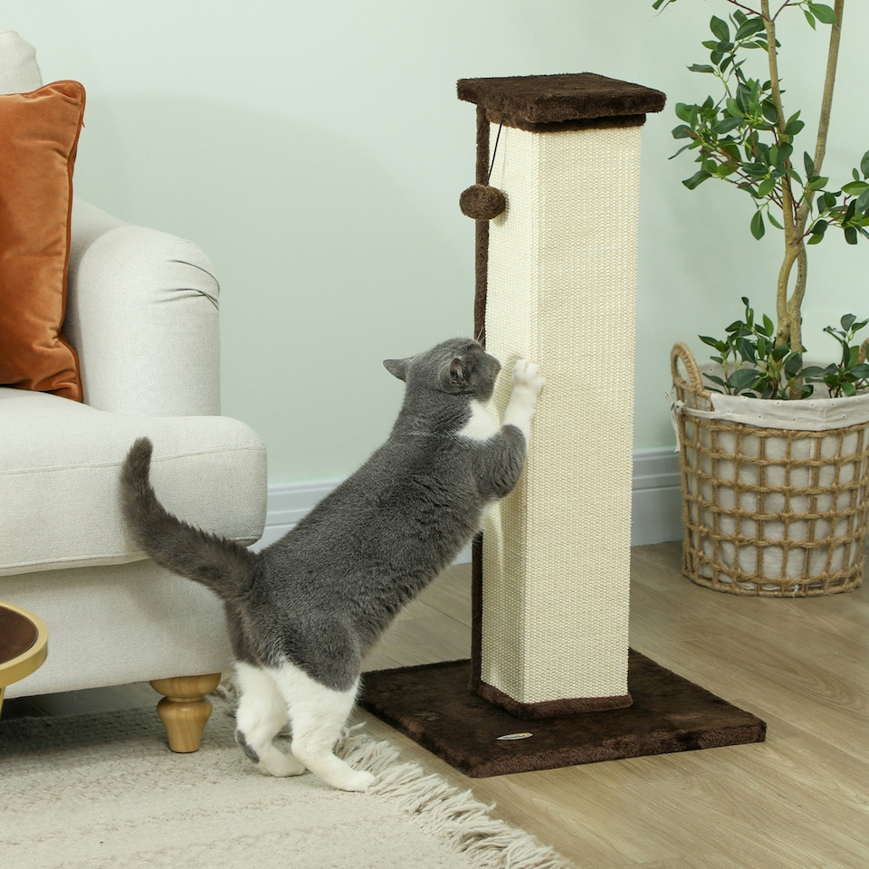 image 1 of PawHut Cat Scratching Post with Vertical Sisal Rope Ball Plush, 81cm, Brown