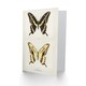 image 2 of Sherman Denton Art Card Giant Swallowtail Butterfly