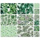 image 1 of Botanical Summer Collection (Placemat & Coaster Set)