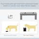 image 8 of PawHut Raised Dog Bowls Pet Feeder Raised Elevated Stainless Steel Food Grey