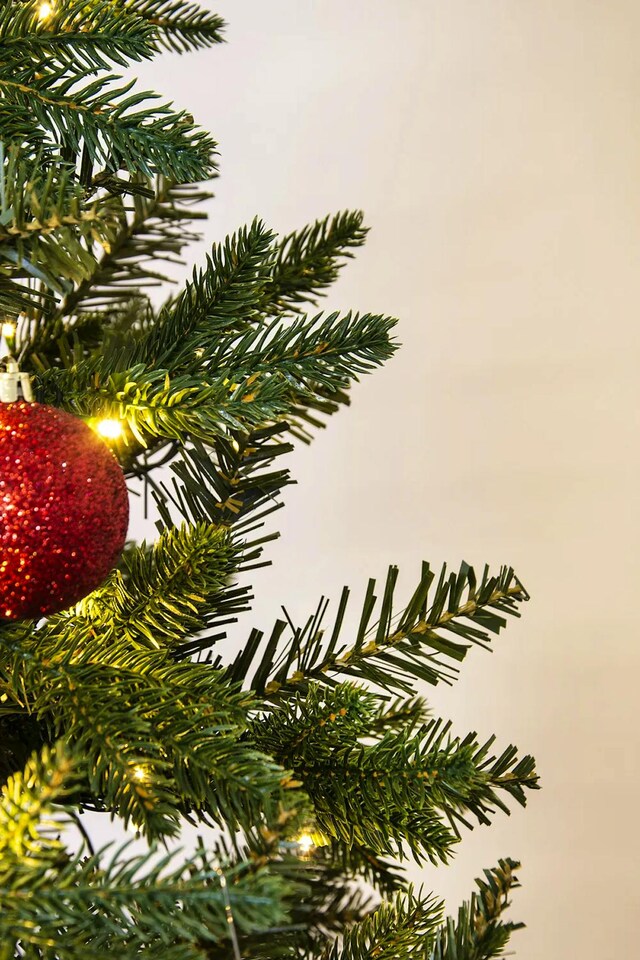 image 1 of Christmas Tree World 14ft Woodland Pine Tree