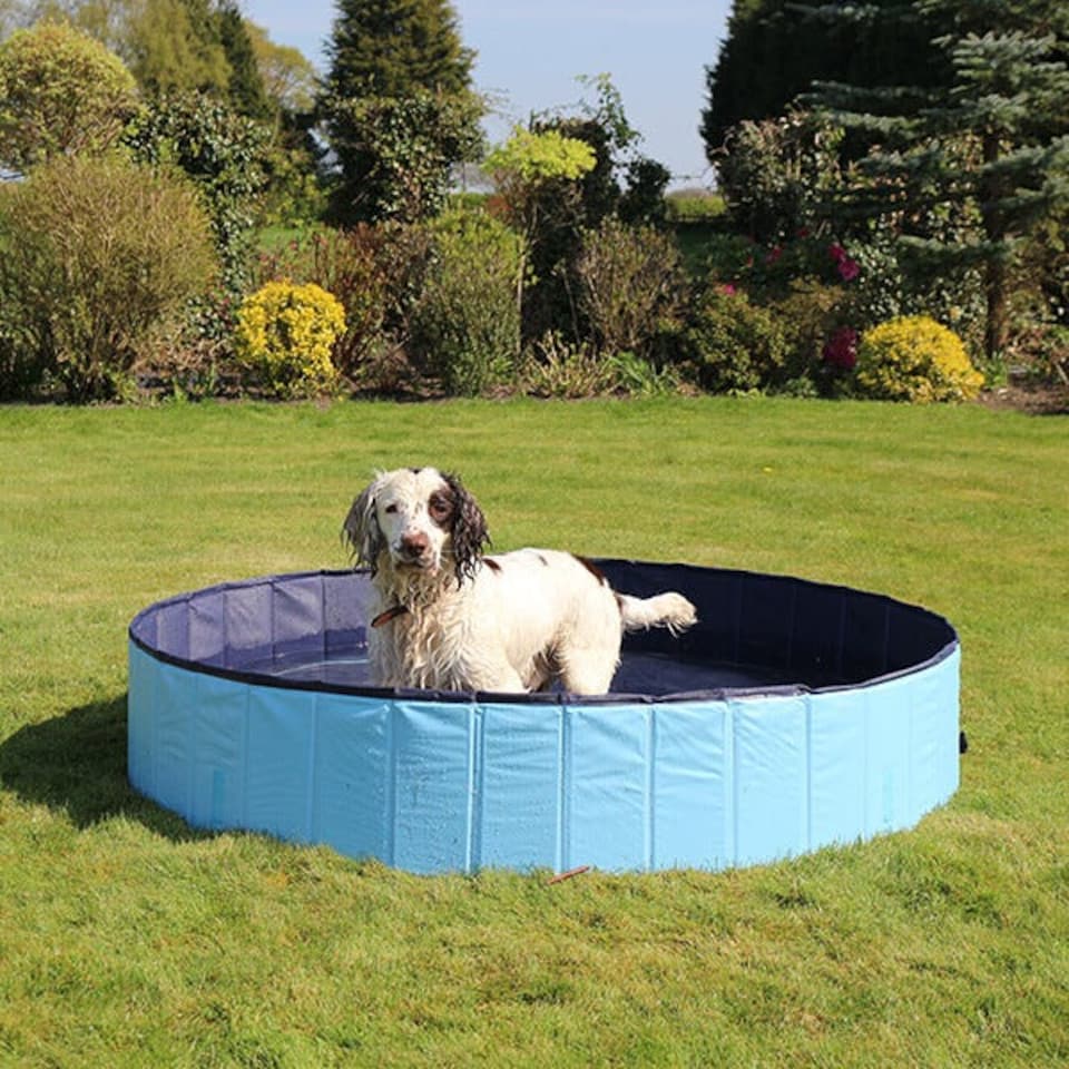 Rosewood Cool Down 160 x 30cm Foldable Dog Pool