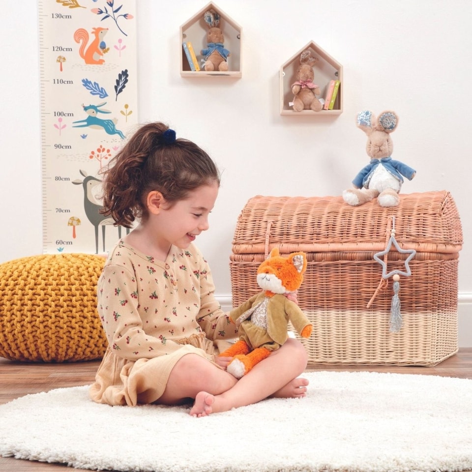 image 1 of Mr Tod Deluxe Soft Toy – Beatrix Potter Fox Plush Character