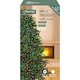 image 1 of Premier TreeBrights 500 LED Lights Multi-Coloured 12.5m