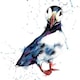 image 1 of Puffin Wildlife Greeting Card - By Artist Lizze Grant
