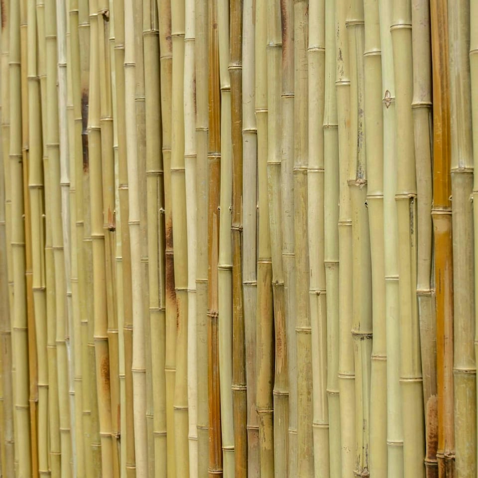 image 1 of Primrose Outdoor Split Hazel Fencing Roll Garden Patio Border 1.2m x 3m