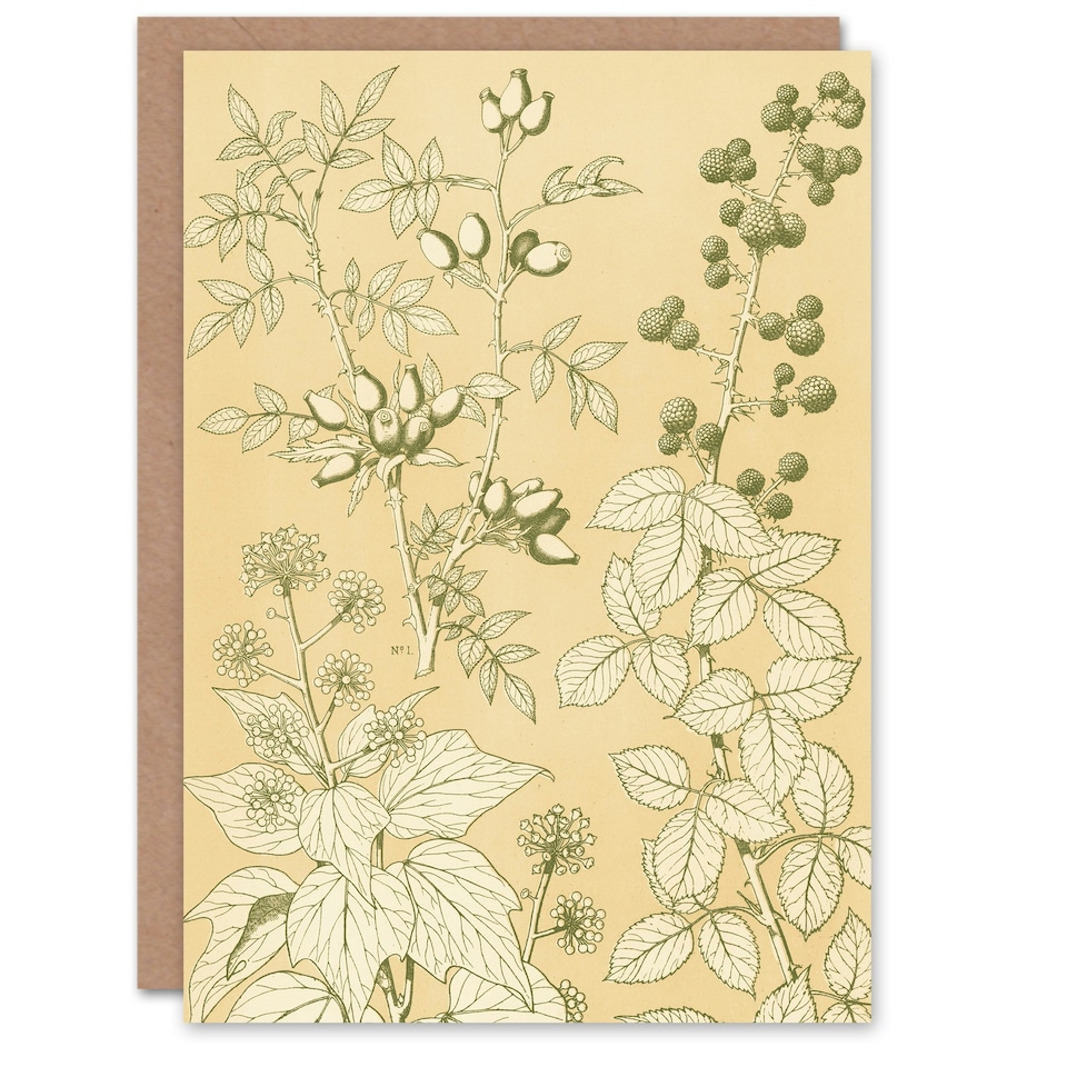 image 1 of Owen Jones Art Card Wild Rose Ivy Blackberry Vintage Botanical