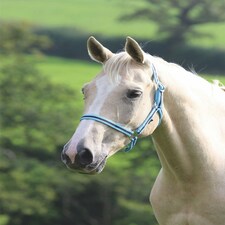 Shires Wessex Headcollar Blue | Size: Foal
Colour: Cambridge/Navy