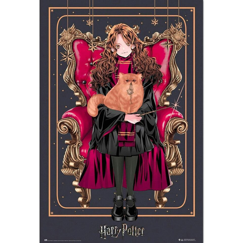 Harry Potter Dynasty Hermione Poster - Red/Black/Brown - One Size