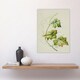 image 4 of New Zealand Sicyos Australis Mawhai Plant Featon Huge Wall Art Print 18X24 In