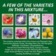 image 4 of Pronto Seed Pure Wildflower Seed Mix 100g, Covers 100m²