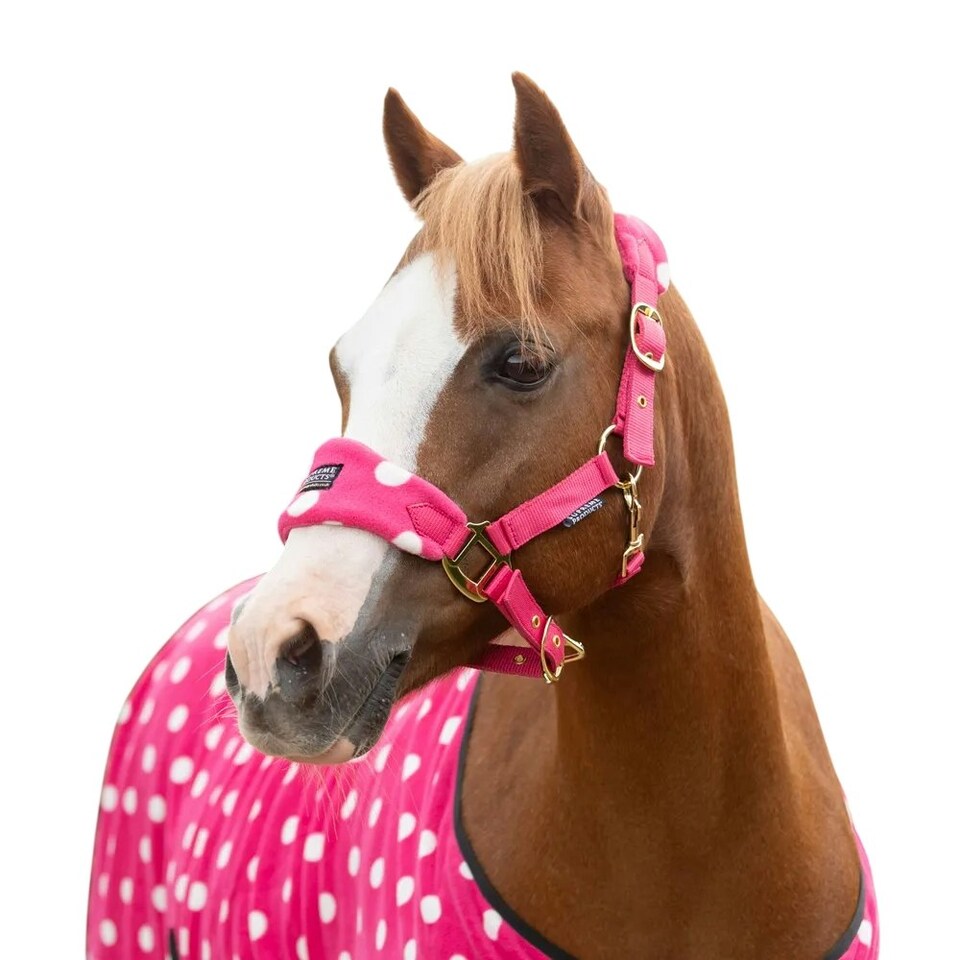 image 1 of Supreme Products Dotty Fleece Horse Head Collar & Lead Rope - Paradise Pink - Pony
