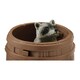 image 6 of SCHLEICH Wild Life Nutty Mischief Toy Figure Set