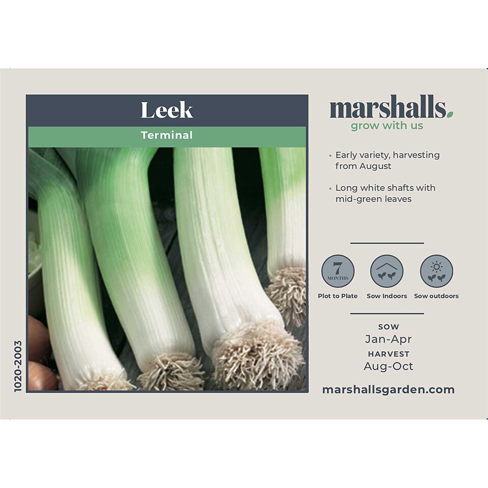 image 1 of Marshalls Garden Leek Seeds 'Terminal' Early Variety 300 Seeds
