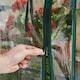 image 3 of GardenKraft 10729 4 Tier Greenhouse