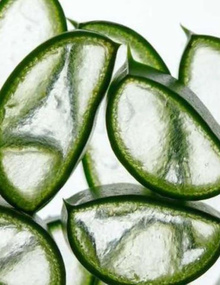 image 1 of Reistill Shampoo anti-yellow & brightening