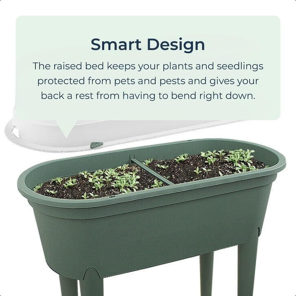 image 1 of Mini Propagator Greenhouse Raised Trug