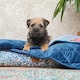 image 2 of Morris & Co Bower Print Square Box Dog & Cat Blanket Blue | One Size