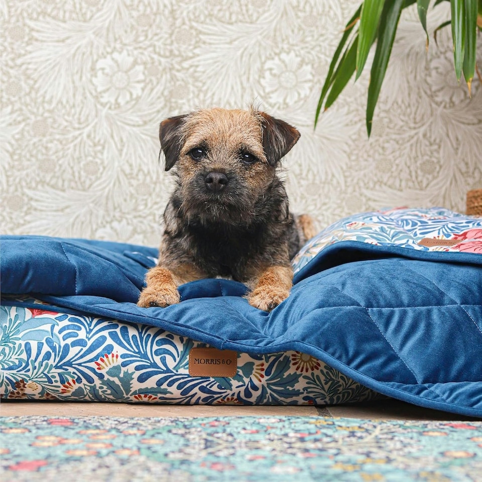 image 1 of Morris & Co Bower Print Square Box Dog & Cat Blanket Blue | One Size